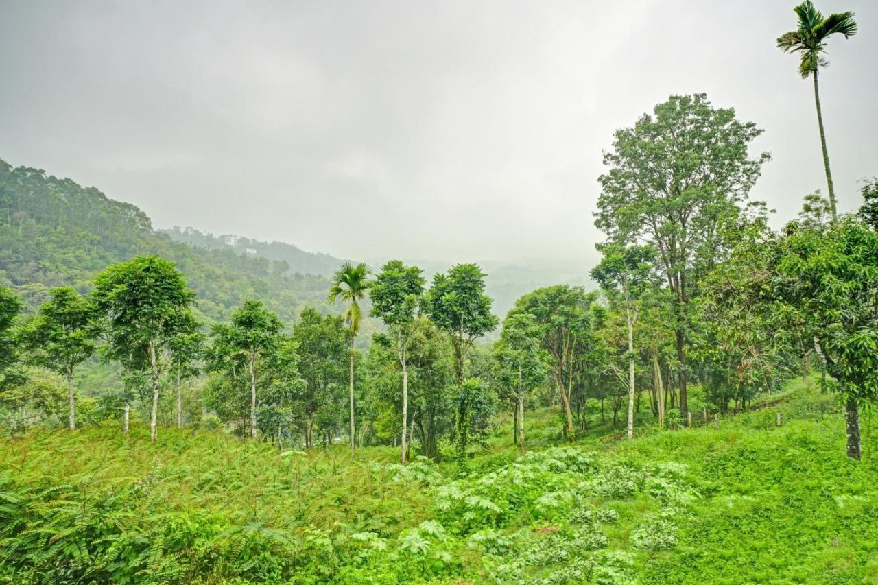 Oyo Flagship 81260 Star Lights Hotel Munnar Ngoại thất bức ảnh
